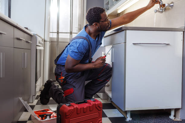 Best Same-Day Plumbing Service  in Hanna City, IL